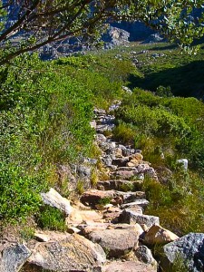Hiking up Table Mountain
