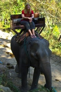 My elephant "Mae"