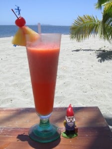 Jerome the Travelin' Gnome last year in Fiji