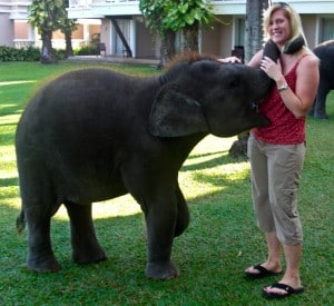 "Soo" the baby elephant