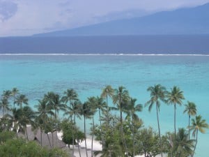 The lagoon near the Sofitel