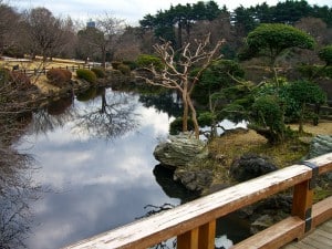 Shinjuku National Garden