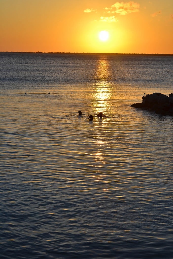 Sunset Snorkelers in Bonaire