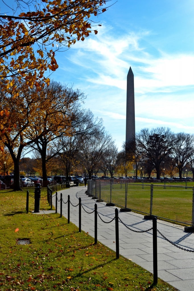 The Washington Monument