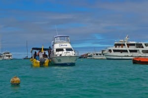 Santa Cruz Selects 87 300x200 Land Based Galapagos: Island Hopping in the Land of Darwin