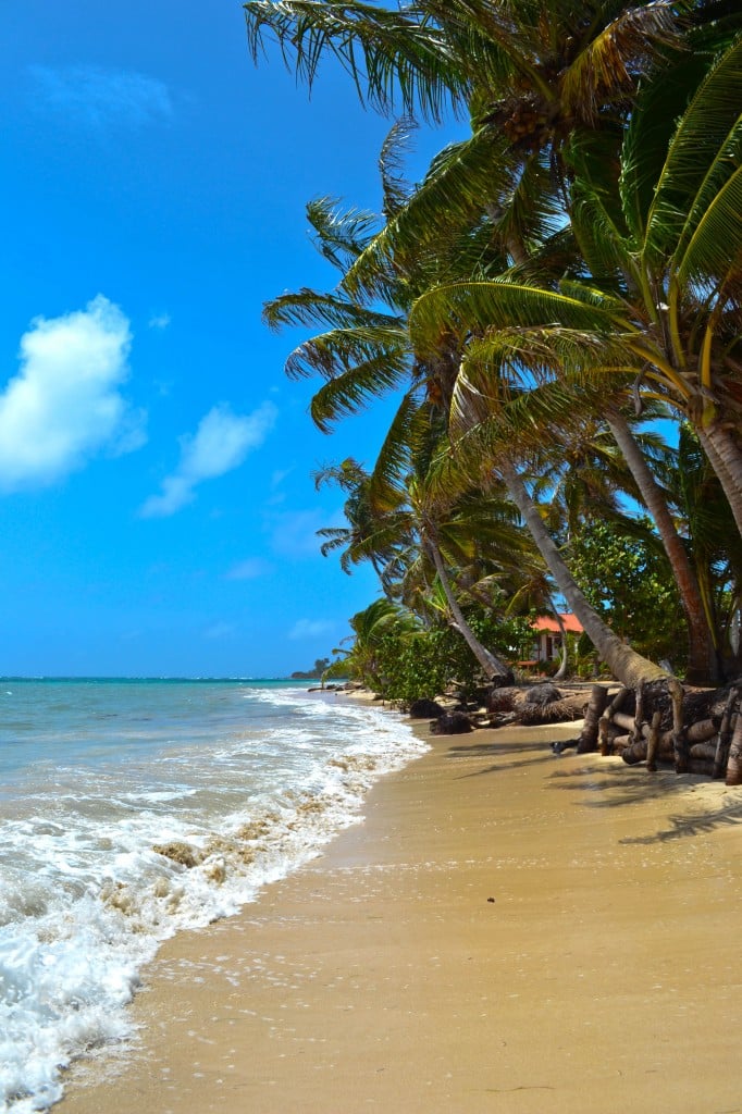 Nicaragua Selects 55 682x1024 Photo of the Day   Little Corn Island, Nicaragua
