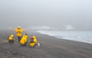 Deception Selects 18 300x190 Expedition Antarctica: Why its Worth Every Penny