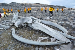 Port Lockroy Selects 8 300x200 Expedition Antarctica: Why its Worth Every Penny