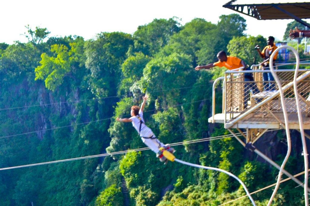Zambezi River Bungee Jumpers
