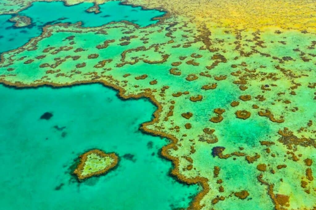 Heart Reef Great Barrier Reef Whitsundays Australia