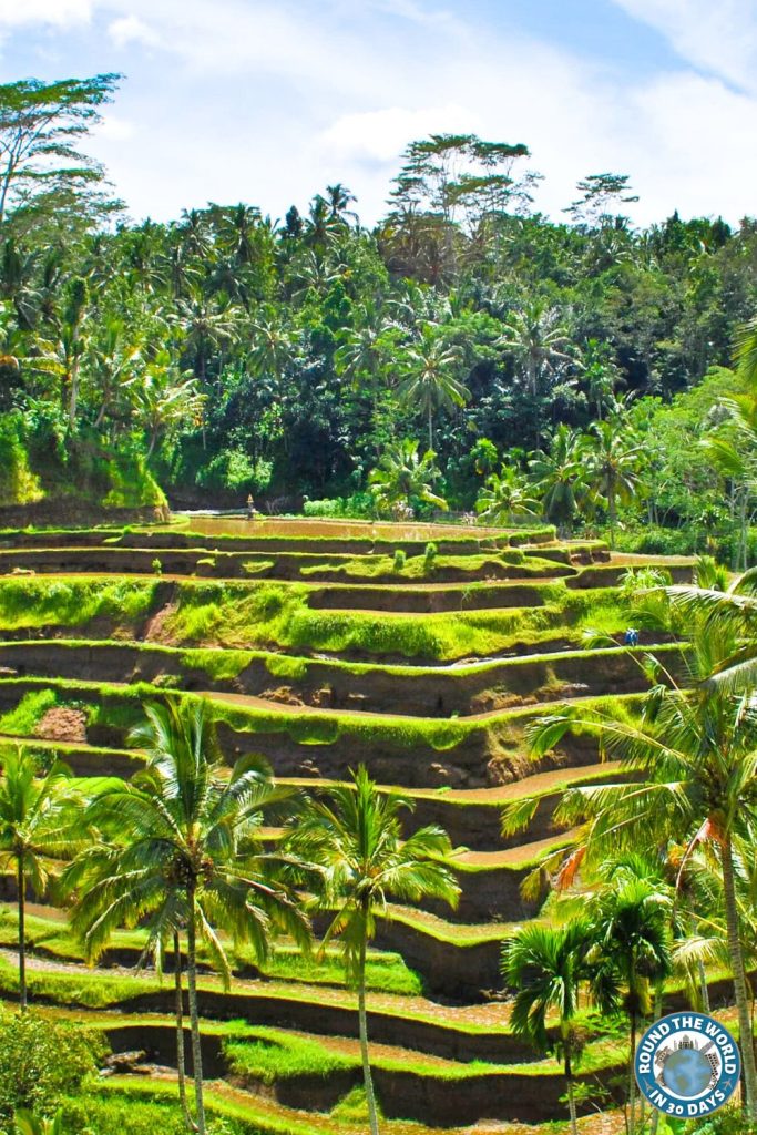Ubud Bali Indonesia