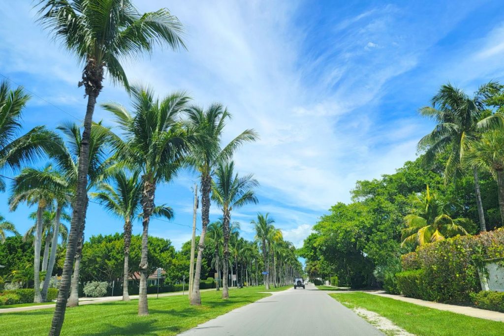 The palm lined streets of Gasparilla Island Florida