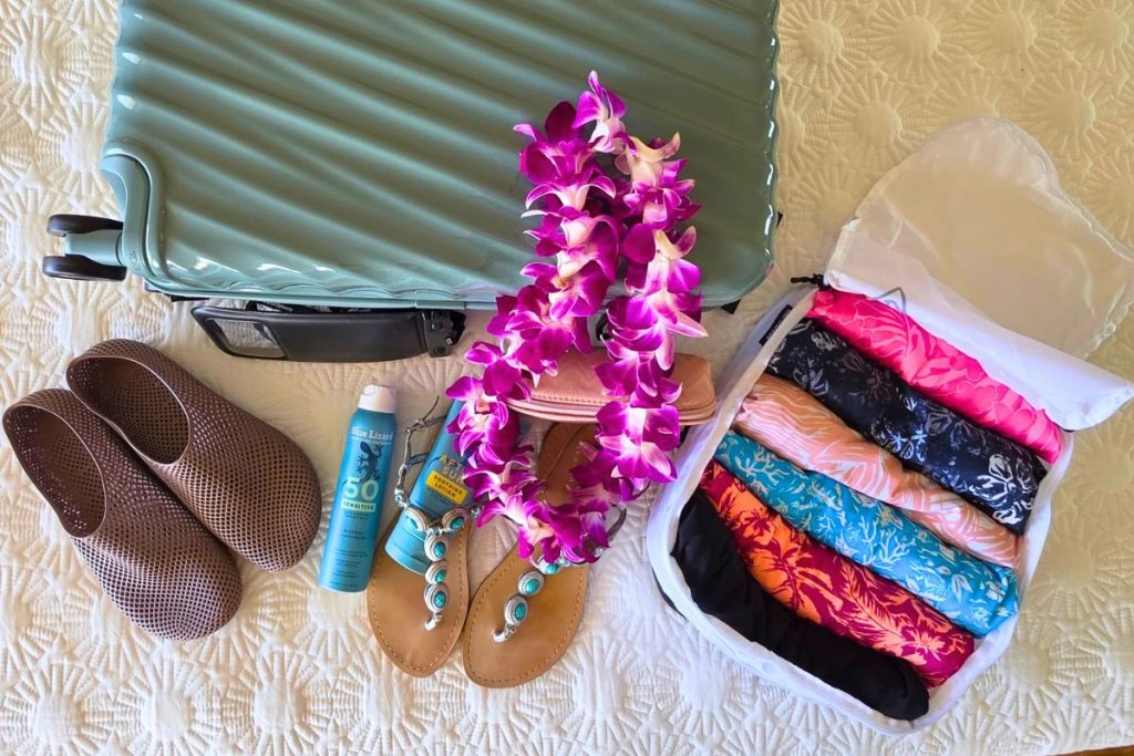 Packing List Packing Cubes