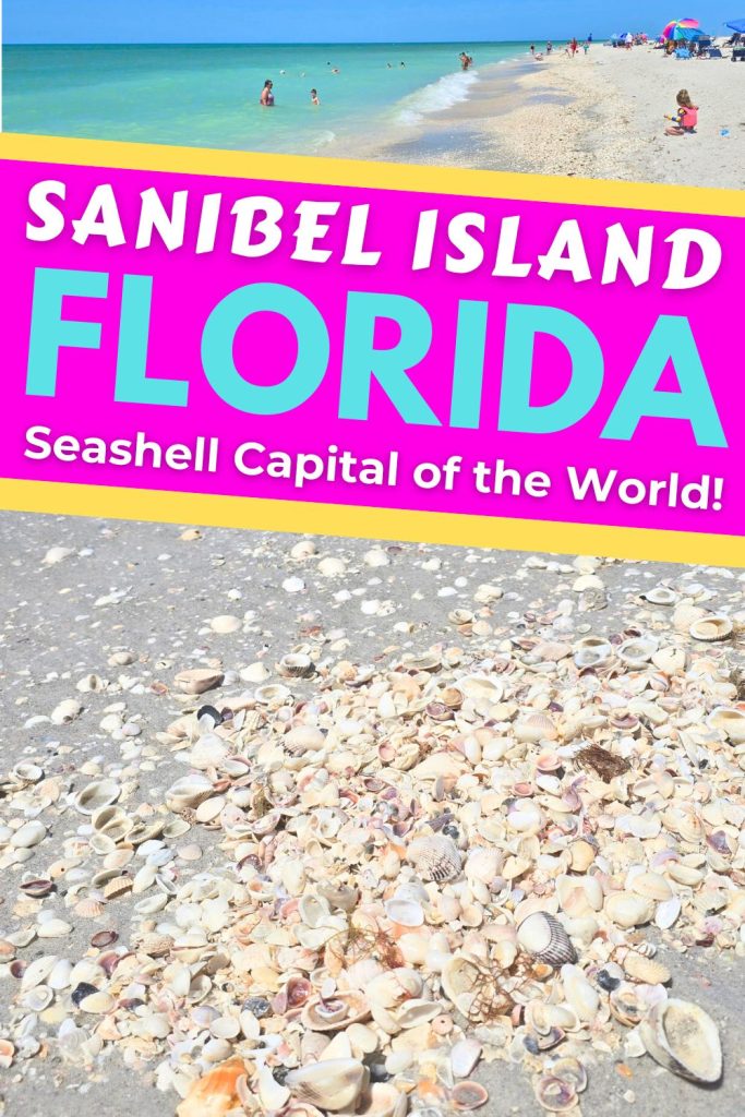 Sanibel Island Florida Vacation Seashells