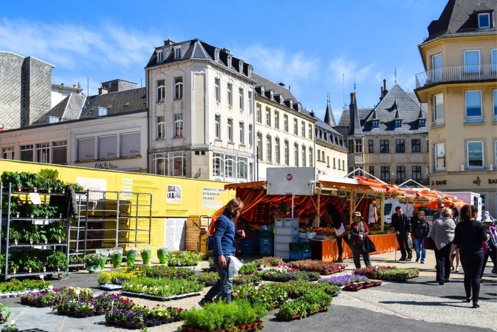 Luxembourg Flower Market Place Guillaume II