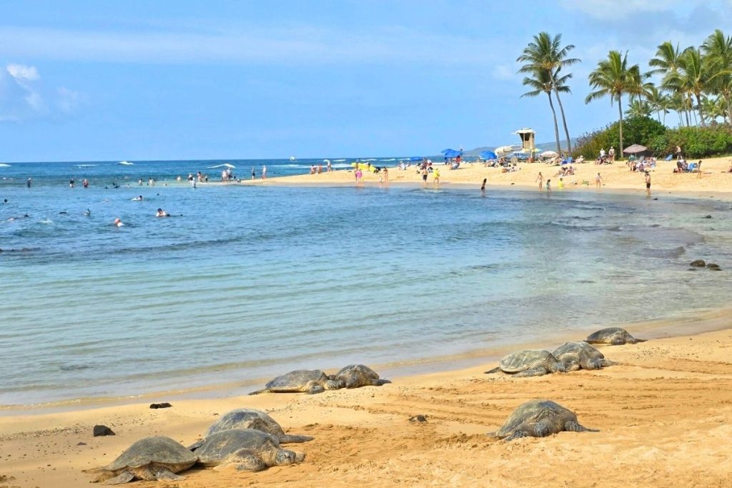 Poipu Beach Kauai Hawaii