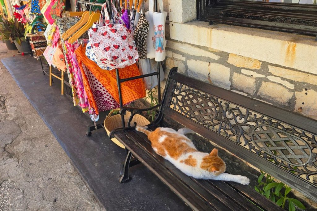 Napping Cat Paxos Greece