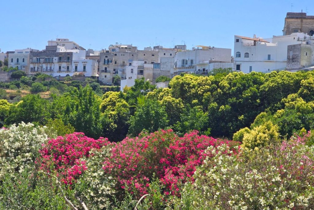 Puglia Italy White City Ostuni