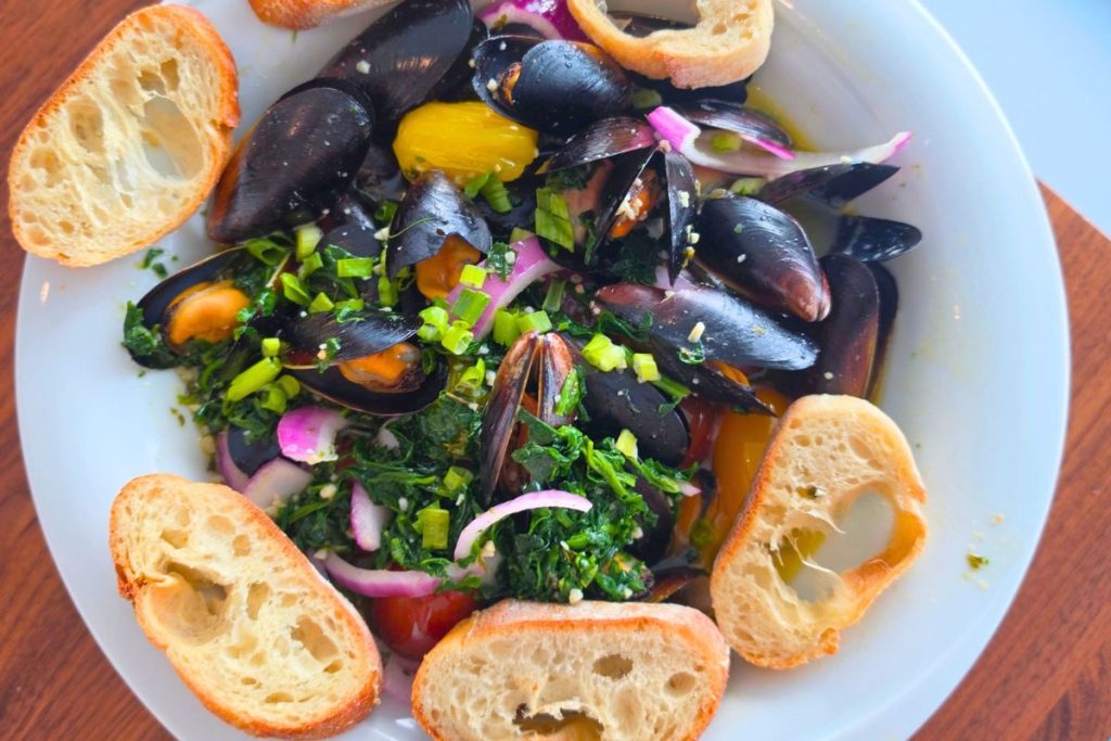Mussels Latitude 26 Punta Gorda Florida